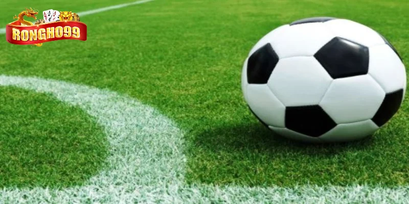 diem cong noi bat cua loai cuoc chau au