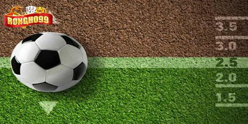 du lieu chung ve hinh thuc keo tai xiu