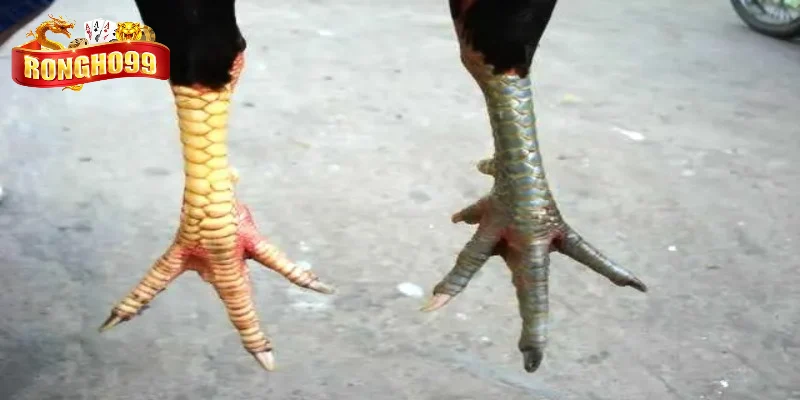 mot vai luu y de nhan biet chien ke co vay xau mot vai luu y de nhan biet chien ke co vay xau