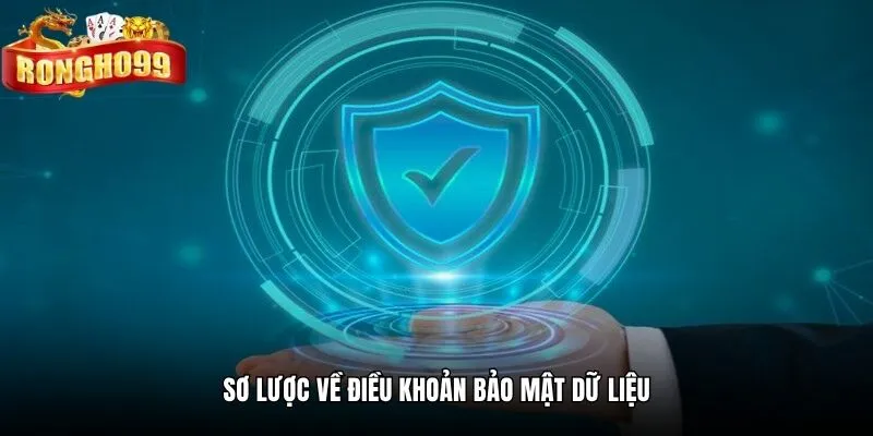 so luoc ve dieu khoan bao mat du lieu
