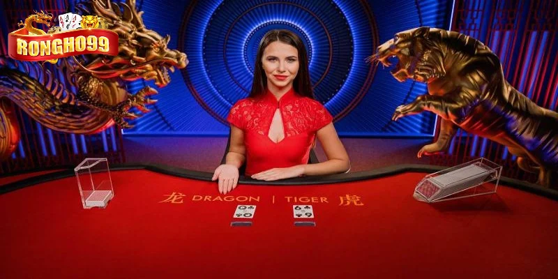 vi sao truy cap link vao rong ho 2025 bi gian doan